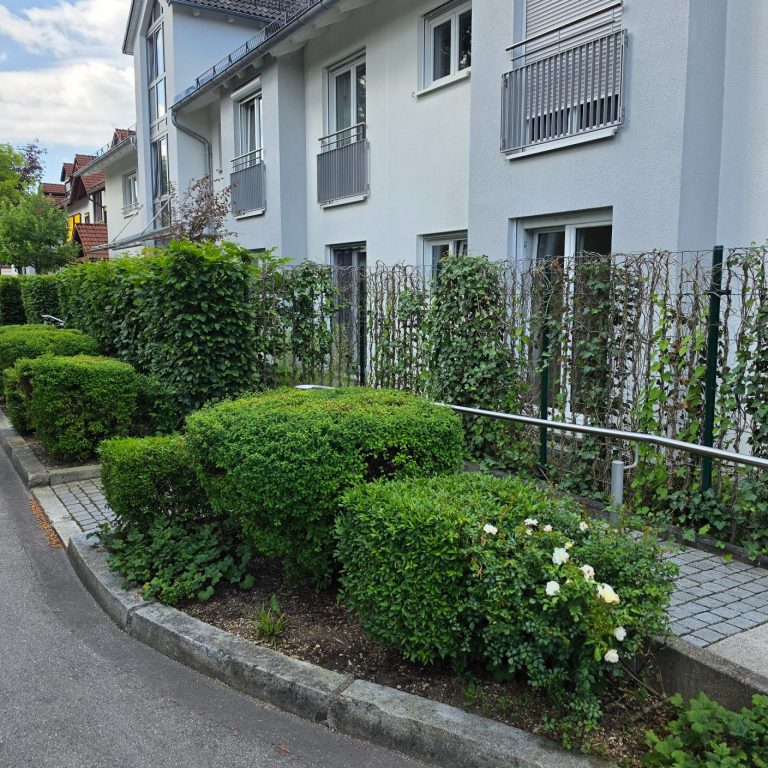 Hecke und Büsche in Form geschnitten